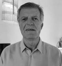 Gerhard Walter Schultz, Colunista em Revista Oeste