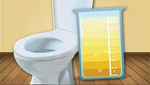 Semenjak sehari yang lepas, air kencing saya tidak jernih dan. Ketahui Warna Urine Dan Artinya Untuk Ungkap Kondisi Tubuh
