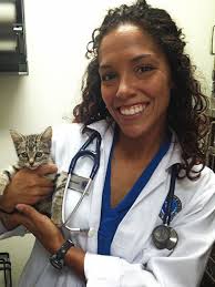 Veterinarian Salem