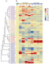 Profile posts latest activity postings about. Plants Free Full Text Characterization And Stress Response Of The Jmjc Domain Containing Histone Demethylase Gene Family In The Allotetraploid Cotton Species Gossypium Hirsutum Html