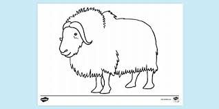 Musk ox mother and baby coloring page from musk ox category. Free Musk Ox Colouring Sheet Colouring Sheets