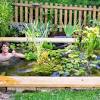 See more ideas about small garden, garden, ponds for small gardens. 1