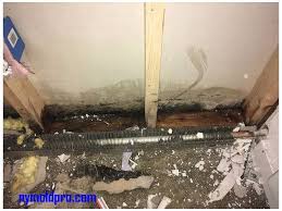 Remove The Dangerous Mold Permanently With Mold Removal Nyc Services Mold Remover Molding How To Remove