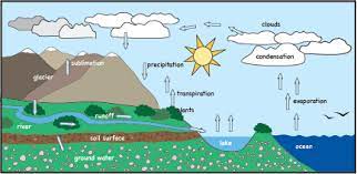 Module 4 This Is A Picture Of The Hydrologic Cycle In The Video Blue Gold Opponents Against The Privatization Of Water Groundwater Water Cycle Evaporation