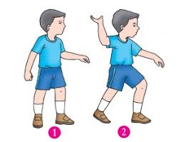 Check spelling or type a new query. 3 Contoh Variasi Gerak Dasar Nonlokomotor Dalam Permainan Kasti