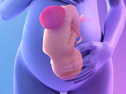 Anterior Placenta And How It Changes Your Baby S Kicks Madeformums