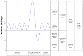 54 Prototypic Airlife Breathing Chart