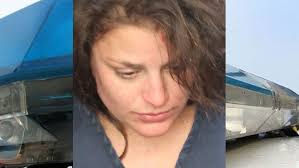 Police: Fla. woman steals beers, tosses dog into traffic and defecates in  patrol car