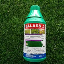Salah satunya rumput teki (cyperus rotundus). Racun Rumput Ballas 1liter Shopee Malaysia