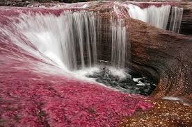 صور انهار وبحار Beautiful Waterfalls Waterfall Rainbow River