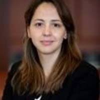 Barbara, si è svegliata, ha parlato! Pdf The Italian Economic Presence In Argentina The Contribution Of Multinational Corporations Andrea Lluch Academia Edu