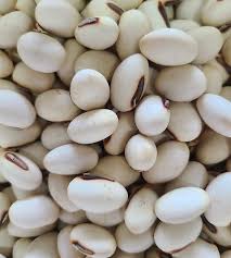 Image result for Canavalia