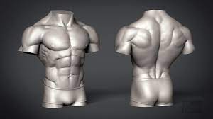 Check spelling or type a new query. Artstation Male Torso Anatomy Study Ian Jacobs