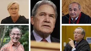 Judge says she didn't recognise voice of Winston Peters