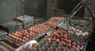 Hal tersebut pastinya membuat banyak orang kebingungan anggaran sebanyak apa yang harus disiapkan untuk membeli telur. Stok Menipis Harga Telur Ayam Ras Diprediksi Melonjak Lagi