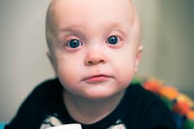 Shooting in black and white with canon rebel