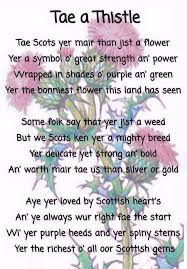 Flower Of Scotland Scottish Beliefs And Traditions Pinterest Escocia Escoces And Escosia