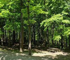 16 Of The Best Campgrounds Within 100 Miles Of Cincinnati Ohio Best Campgrounds Campground Brookville Lake
