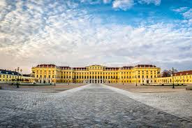 Image result for Austrosynotis