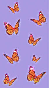 Aesthetic butterfly on flower iphone. Pin By Menaaa On Babygirl Blue Butterfly Wallpaper Butterfly Wallpaper Iphone Butterfly Wallpaper