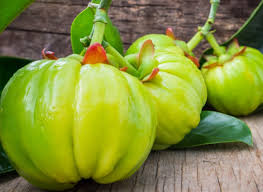 Image result for Garcinia buchneri