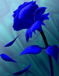 Blue Roses Flowers Pictures Flowers Wallpapers Red Roses Blue Roses Wallpaper Blue Roses Blue Rose