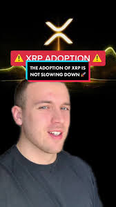 Vale Hill Xrp Fair Market Value