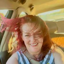 I have a stray cat that has shown up at our barn, I got it a little house  set up and we've been feeding it. Does anyone know a good reasonably priced