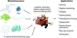 The employment of cells and biological molecules to explain problems or make valuable products. Applications Of Bioluminescence In Biotechnology And Beyond Chemical Society Reviews Rsc Publishing