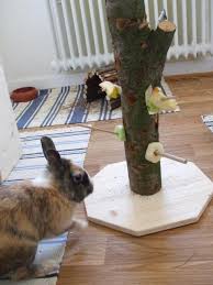 Futterbaum Xxl Pluschnasen Diy Bunny Toys Monkey Stuffed Animal Rabbit Soft Toy