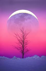 Be Here Now Photo Beautiful Moon Beautiful Nature Beautiful World
