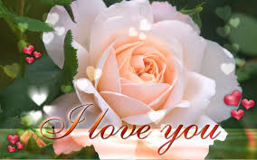 We've gathered more than 5 million images uploaded by our users and sorted them by the most popular ones. Free Download Love Roses Wallpapers Love Rose Flower Wallpaper Love Wallpaper 1600x1001 For Your Desktop Mobile Tablet Explore 75 Love Flower Wallpaper Blue Flower Wallpaper Spring Flower Wallpaper Lotus Flower Wallpaper