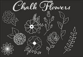 Clip Art Chalk Flower Illustrations Flower Art Drawing Flower Illustration Flower Doodles
