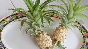 Kenapa anda mencari nenas batu ? Eksperimen Nenas Batu Nenas Kecil Youtube