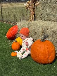 Image result for fat ass pumpkin