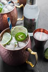 Gin And Ginger Beer Moscow Mule The Lemon Bowl Recipe Ginger Beer Moscow Mule Recipe Moscow Mule