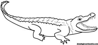 Alligator Coloring Page Free In 2020 Coloring Pages Dinosaur Age Free Coloring Pages