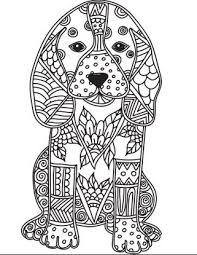 Pin On Animals