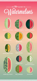 Long, light green skin watermelon with dark green stripes. Here S The Difference Between Pink Orange And Yellow Watermelon Myrecipes