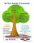 Judicial Branches Of Government