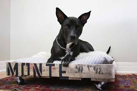 Using a pallet to make a dog bed: 10 Diy Dog Beds Made From Pallets Upcycling For The Win