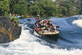 Dandeli Kingfisher Jungle Stay Offer Stay Accommodation Services Like Resort Booking Dandeli Homestay Booking Dandeli Hotels Booking Dandeli Lodge Arung Jeram