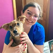 MV Daniela Aldea Andrade (@danialdea.vet) • Instagram photos and videos