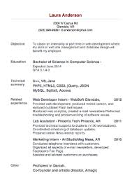 Sample Of A Beginner S Cv Giga Cv