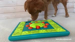 Is your pup new to dog puzzles? Multipuzzle Dog Puzzle Game Nina Ottosson Treat Puzzle Games For Dogs Cats