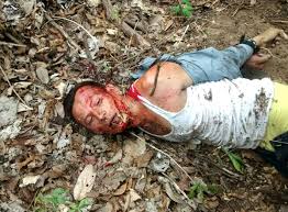 нарко картели  голые девки, члены, голые девки с членами, дрочево, гуро,  извратское порно и прочая половая ёбля - смотреть бесплатно!