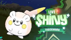Crazy Luck Shiny Togedemaru In 33 Pokemon Sun And Moon Youtube The spiny fur on its back is normally at rest. crazy luck shiny togedemaru in 33 pokemon sun and moon