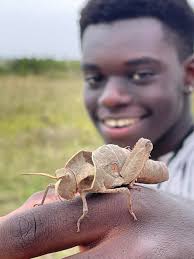 Looks like a new field guide is out. The Guide was developed by Dr Esther  Kioko of the National Museums of Kenya. The guide is available free for  download from  https://jrsbiodiversity.org/wp-content/uploads/2021/06/A-field-guide-to-Taita-Hills  ...