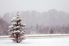 Dieses phänomen liegt in der geographischen lage deutschlands begründet. Wird Es Warmer Wenn Es Schneit Brain Channel