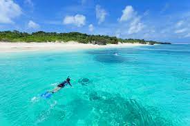 We have 100's of cafes, restaurants, shopping, activities, in okinawa. 10 Best Beaches In Okinawa Which Okinawan Beach Is Right For You Go Guides